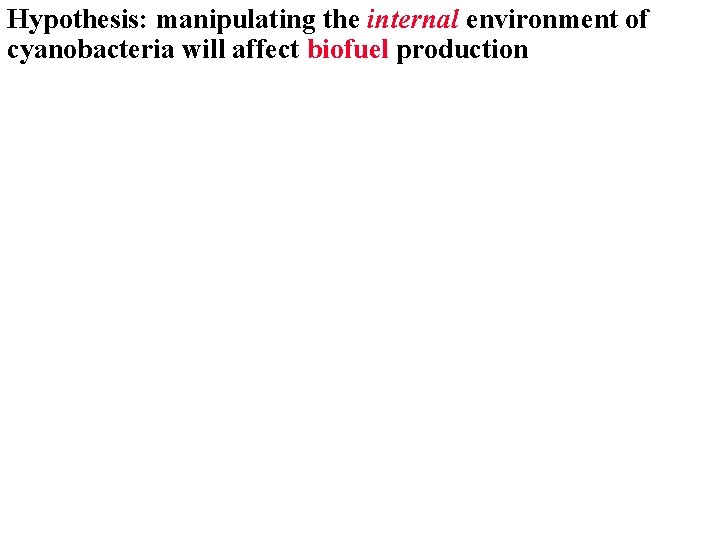 Hypothesis: manipulating the internal environment of cyanobacteria will affect biofuel production 