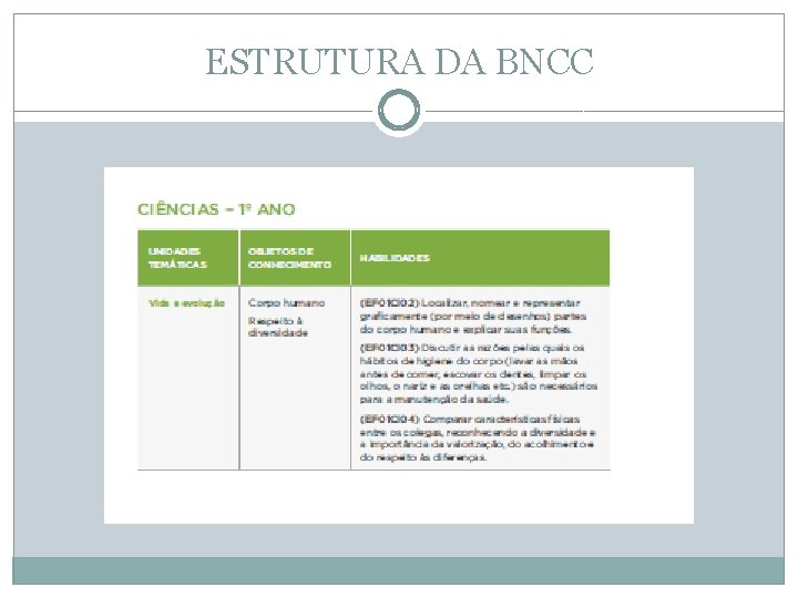 ESTRUTURA DA BNCC 