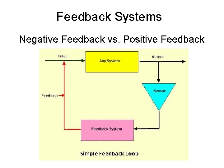 Feedback Systems Negative Feedback vs. Positive Feedback 