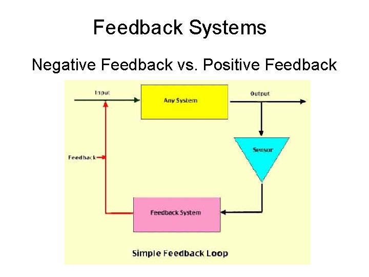 Feedback Systems Negative Feedback vs. Positive Feedback 