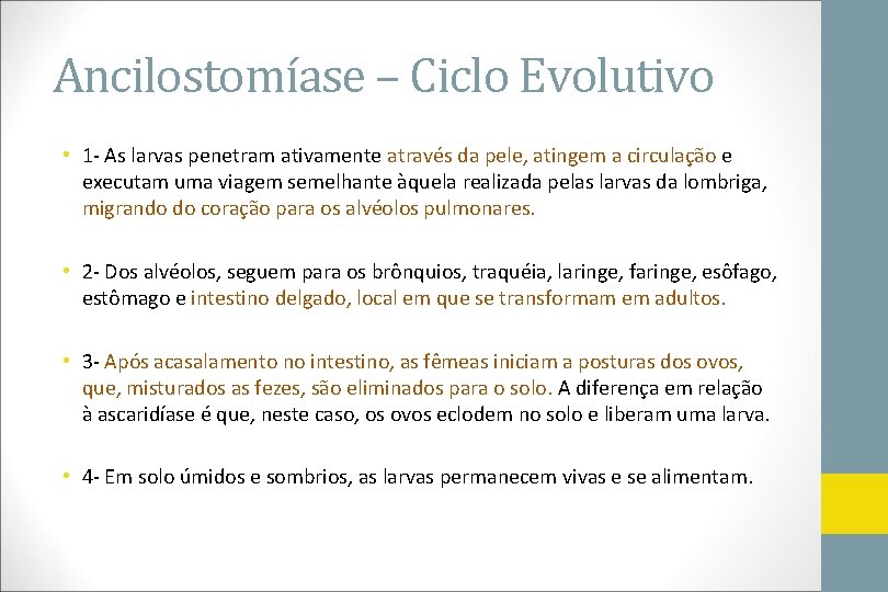 Ancilostomíase – Ciclo Evolutivo • 1 - As larvas penetram ativamente através da pele,