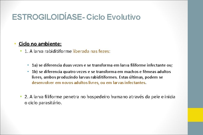 ESTROGILOIDÍASE- Ciclo Evolutivo • Ciclo no ambiente: • 1. A larva rabiditiforme liberada nas