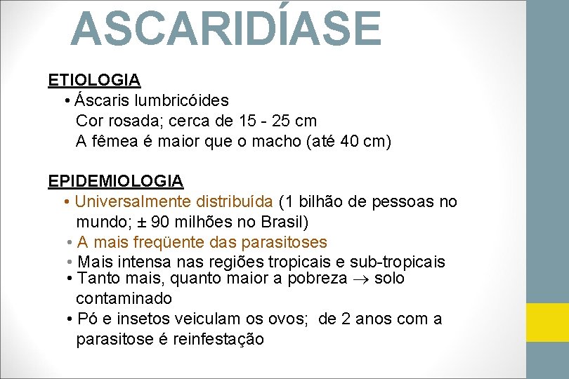 ASCARIDÍASE ETIOLOGIA • Áscaris lumbricóides Cor rosada; cerca de 15 - 25 cm A