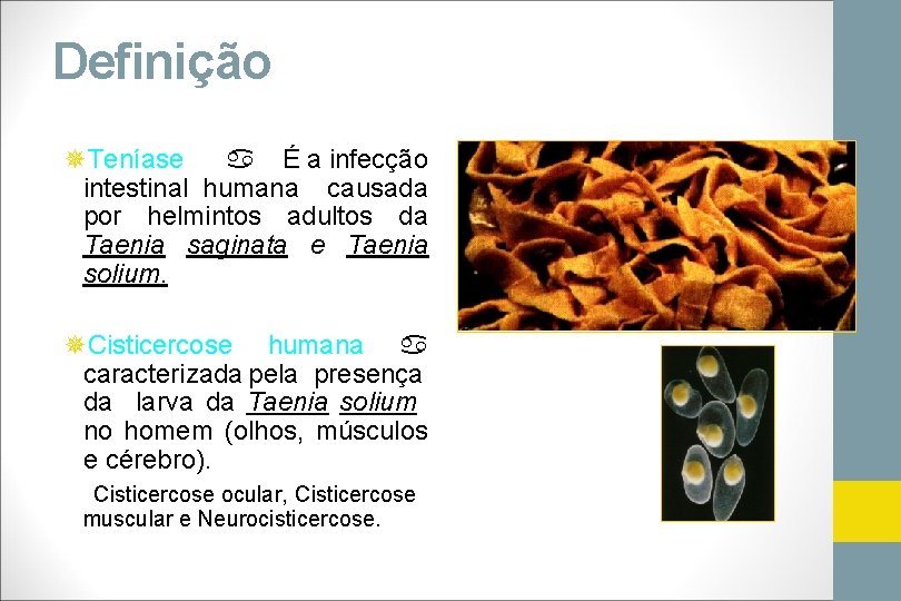 Definição ¯Teníase É a infecção intestinal humana causada por helmintos adultos da Taenia saginata