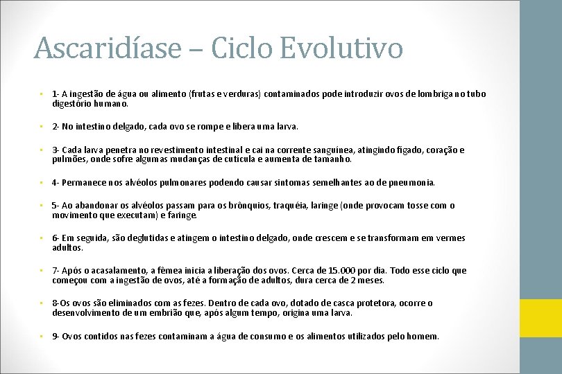 Ascaridíase – Ciclo Evolutivo • 1 - A ingestão de água ou alimento (frutas