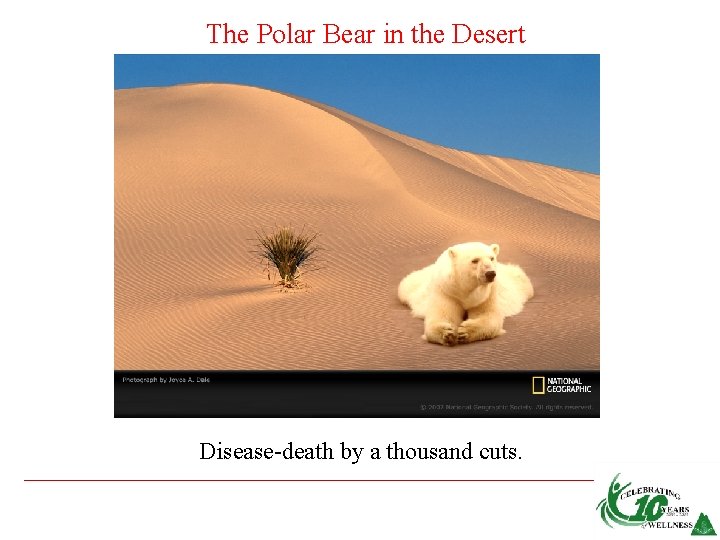 The Polar Bear in the Desert Disease-death by a thousand cuts. 