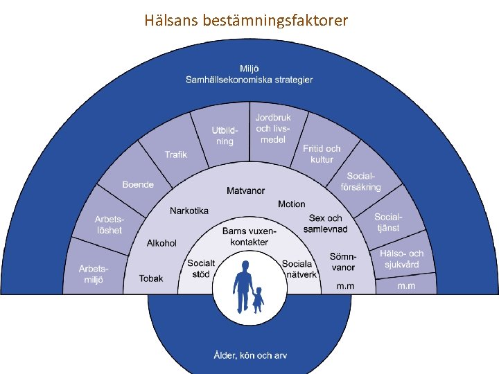 Hälsans bestämningsfaktorer 