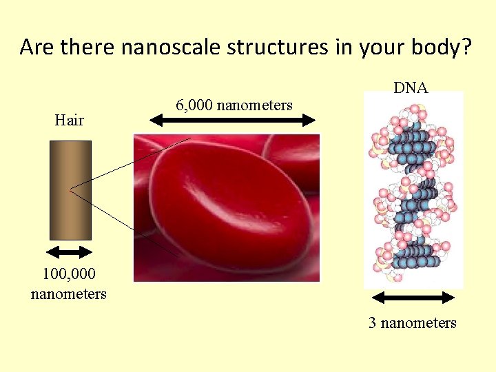 Are there nanoscale structures in your body? Hair 6, 000 nanometers DNA . 100,