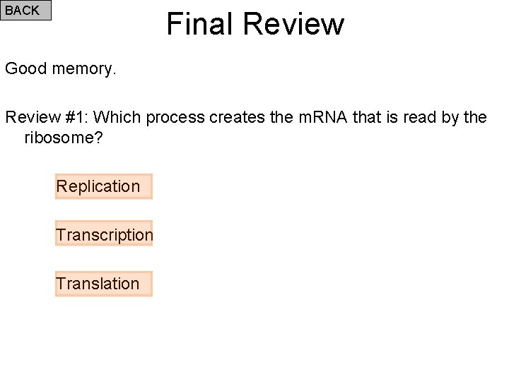 BACK Final Review Good memory. Review #1: Which process creates the m. RNA that