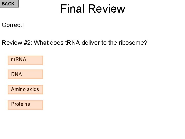 BACK Final Review Correct! Review #2: What does t. RNA deliver to the ribosome?