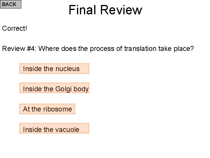 BACK Final Review Correct! Review #4: Where does the process of translation take place?