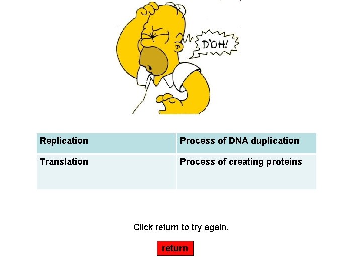 Replication Process of DNA duplication Translation Process of creating proteins Click return to try