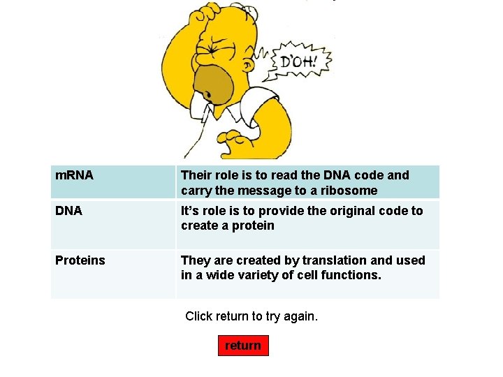 m. RNA Their role is to read the DNA code and carry the message