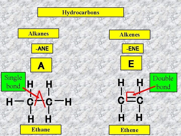 Hydrocarbons Alkanes Alkenes -ANE -ENE A E Single bond H H H C C