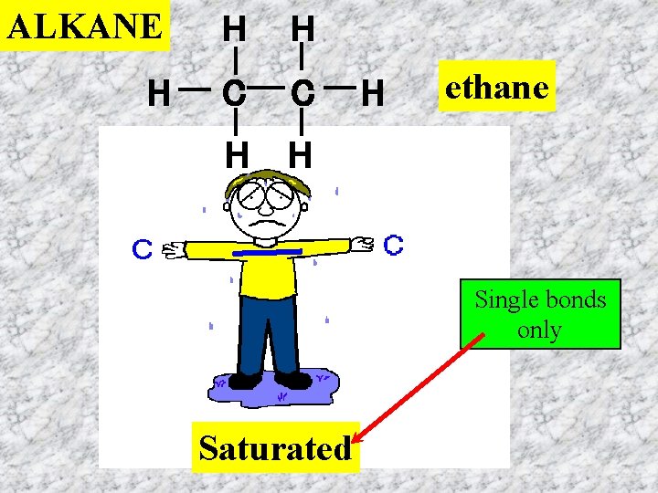 ALKANE H H H C C H H H ethane Single bonds only Saturated