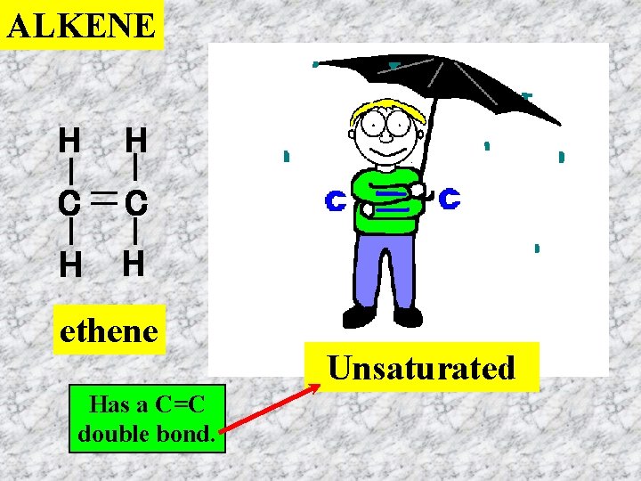 ALKENE H H C C H H ethene Has a C=C double bond. Unsaturated