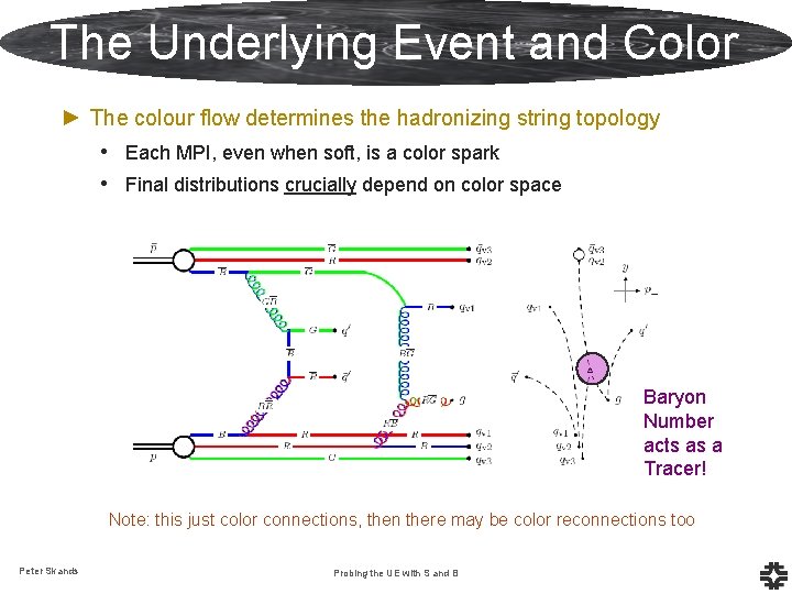 The Underlying Event and Color ► The colour flow determines the hadronizing string topology