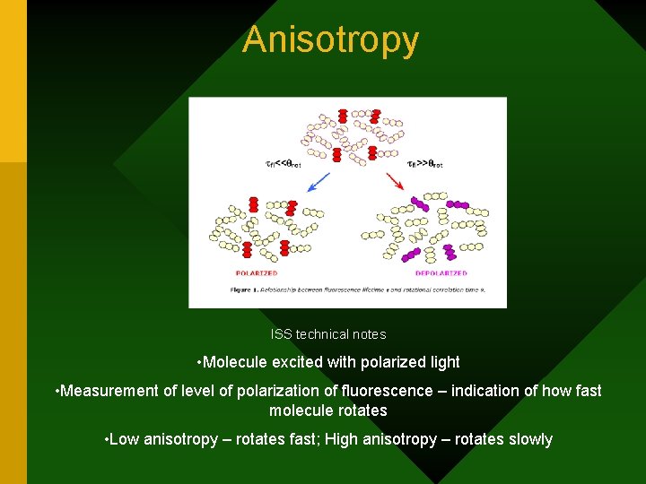 Anisotropy ISS technical notes • Molecule excited with polarized light • Measurement of level