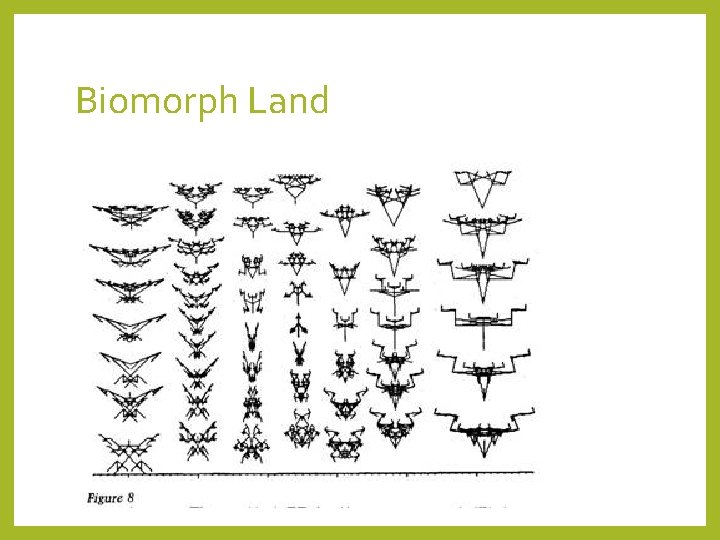 Biomorph Land 