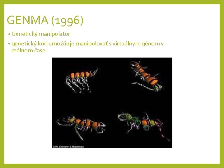GENMA (1996) • Genetický manipulátor • genetický kód umožňuje manipulovať s virtuálnym génom v