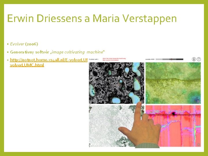 Erwin Driessens a Maria Verstappen • Evolver (2006) • Generatívny softvér „image cultivating machine“