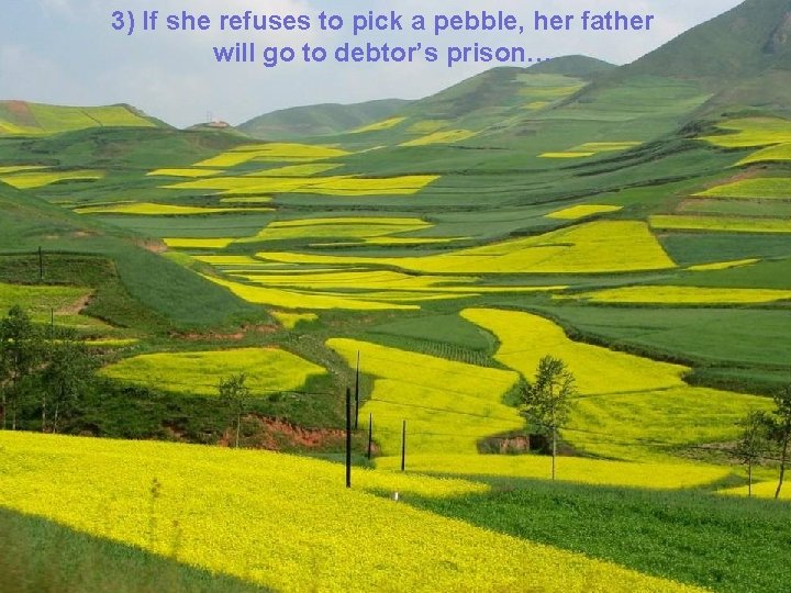 3) If she refuses to pick a pebble, her father will go to debtor’s
