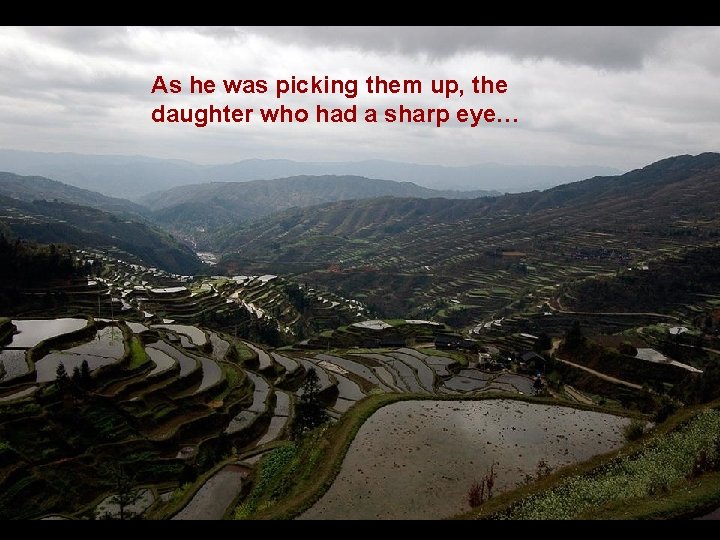 As he was picking them up, the daughter who had a sharp eye… 