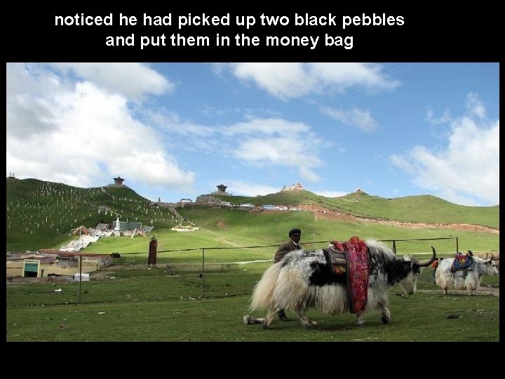 noticed he had picked up two black pebbles and put them in the money