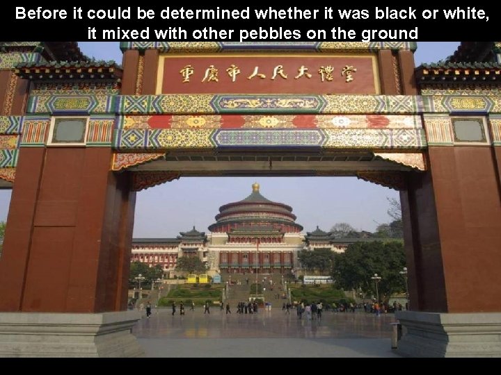  Before it could be determined whether it was black or white, it mixed