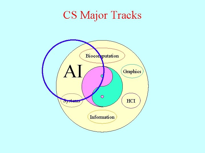 CS Major Tracks Biocomputation AI Biocomputation Graphics Systems HCI Information 
