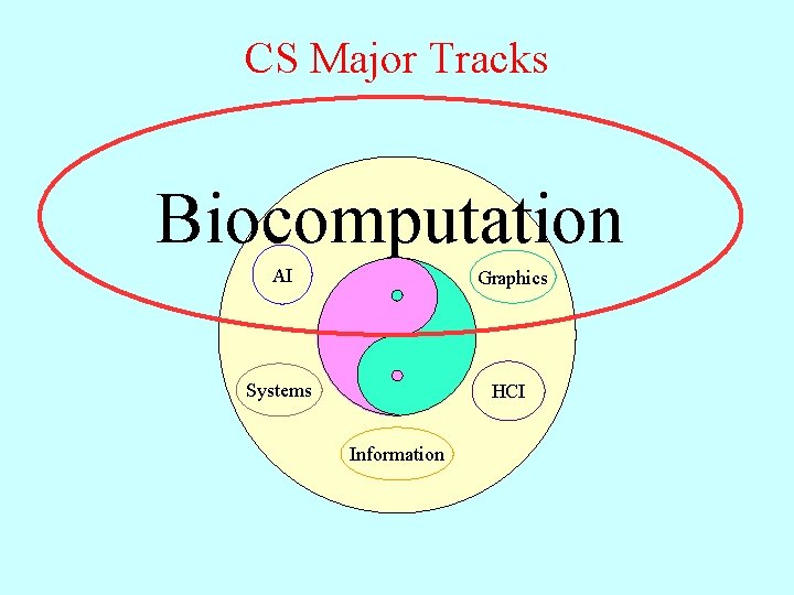 CS Major Tracks Biocomputation Graphics AI Graphics Systems HCI Information 