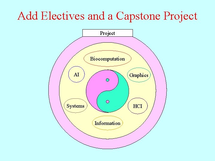 Add Electives and a Capstone Project Biocomputation AI Graphics Systems HCI Information 