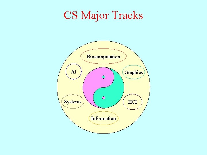 CS Major Tracks Biocomputation AI AI Graphics Systems HCI Information 