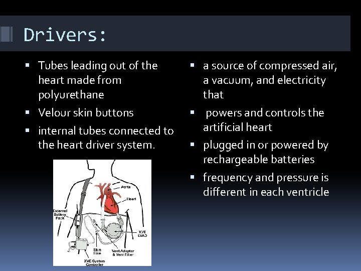 Drivers: Tubes leading out of the heart made from polyurethane a source of compressed
