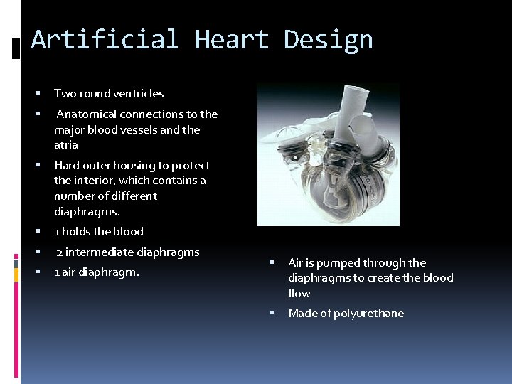 Artificial Heart Design Two round ventricles Anatomical connections to the major blood vessels and