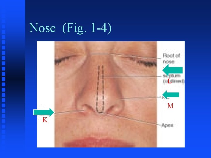 Nose (Fig. 1 -4) L M K Nose (Fig. 1 -4) L M K