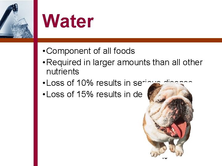 Water • Component of all foods • Required in larger amounts than all other