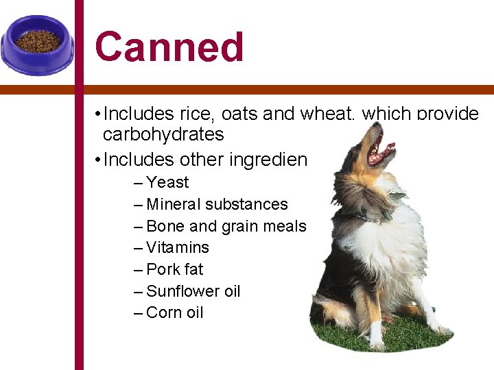 Canned • Includes rice, oats and wheat, which provide carbohydrates • Includes other ingredients: