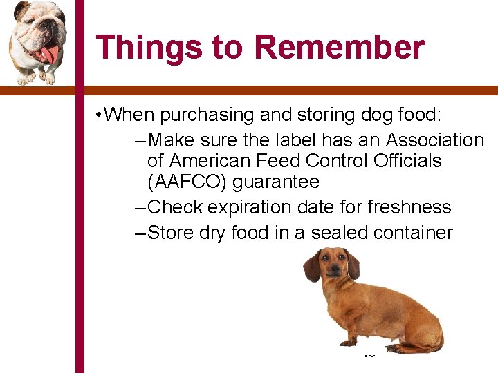 Things to Remember • When purchasing and storing dog food: – Make sure the