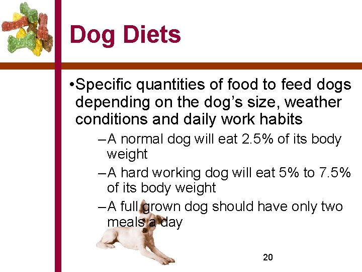 Dog Diets • Specific quantities of food to feed dogs depending on the dog’s