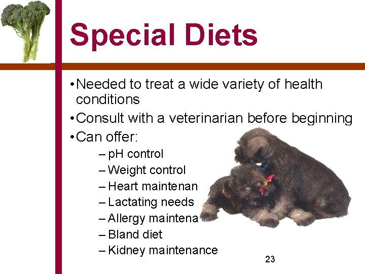 Special Diets • Needed to treat a wide variety of health conditions • Consult