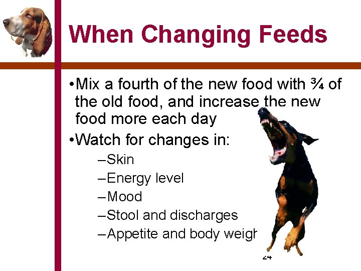 When Changing Feeds • Mix a fourth of the new food with ¾ of