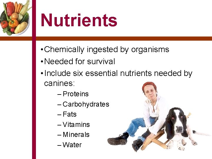 Nutrients • Chemically ingested by organisms • Needed for survival • Include six essential