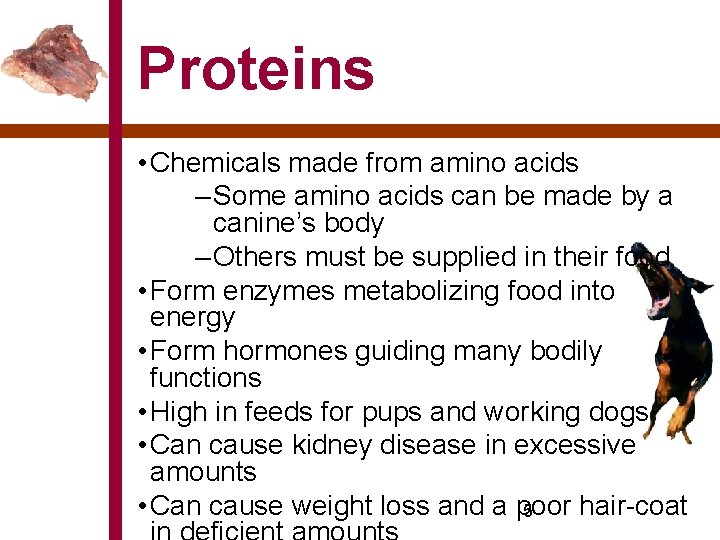 Proteins • Chemicals made from amino acids – Some amino acids can be made