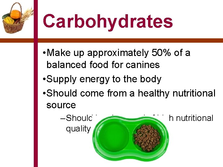 Carbohydrates • Make up approximately 50% of a balanced food for canines • Supply