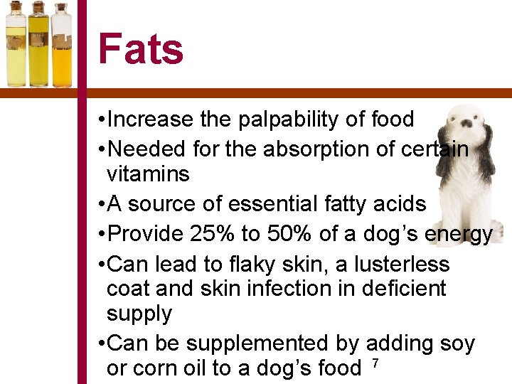 Fats • Increase the palpability of food • Needed for the absorption of certain