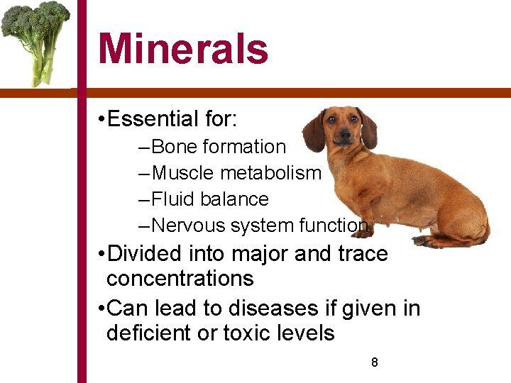 Minerals • Essential for: – Bone formation – Muscle metabolism – Fluid balance –