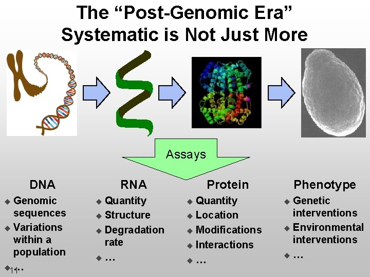 The “Post-Genomic Era” Systematic is Not Just More Assays DNA Genomic sequences u Variations