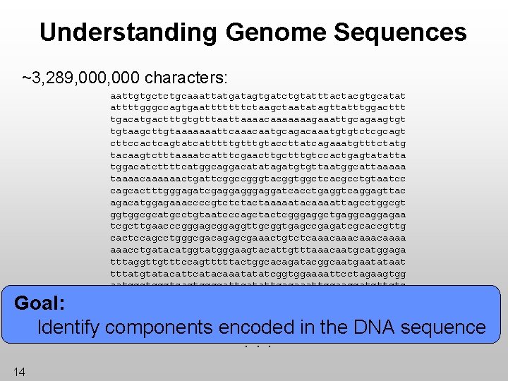 Understanding Genome Sequences ~3, 289, 000 characters: aattgtgctctgcaaattatgatagtgatctgtatttactacgtgcatat attttgggccagtgaatttttttctaagctaatatagttatttggacttt tgacatgactttgtgtttaaaacaaaaaaagaaattgcagaagtgt tgtaagcttgtaaaaaaattcaaacaatgcagacaaatgtgtctcgcagt cttccactcagtatcatttttgtaccttatcagaaatgtttctatg tacaagtctttaaaatcatttcgaacttgctttgtccactgagtatatta tggacatcttttcatggcaggacatatagatgtgttaatggcattaaaaa