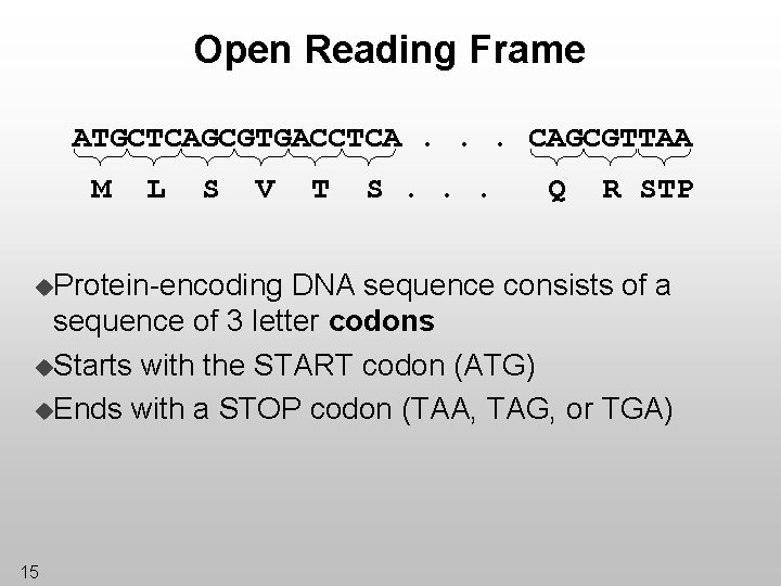 Open Reading Frame ATGCTCAGCGTGACCTCA. . . CAGCGTTAA M L S V u. Protein-encoding T